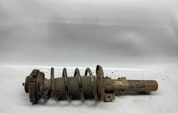 Skoda Roomster (5J) Front shock absorber with coil spring 6Q0413031BL