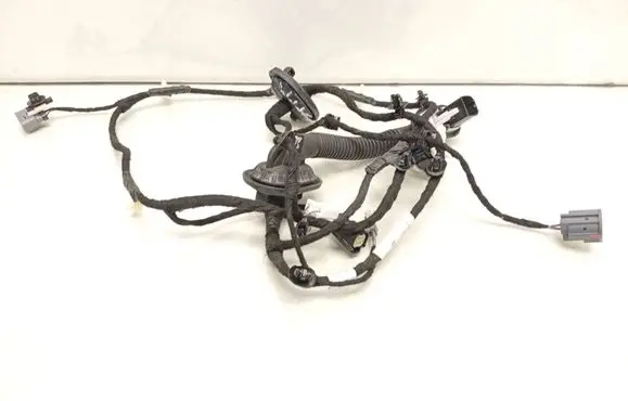 Ford Mustang Mach-E Rear door wiring loom PJ8T14633