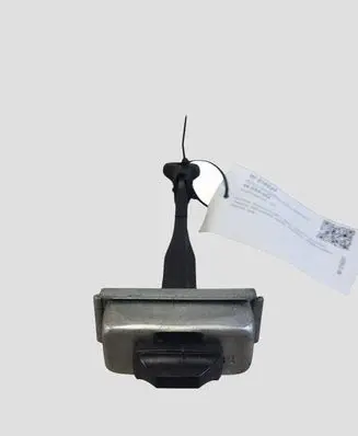 Ford Fiesta Rear door check strap stopper