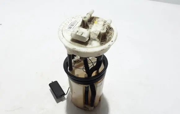 Renault Koleos I In-tank fuel pump 172024819R