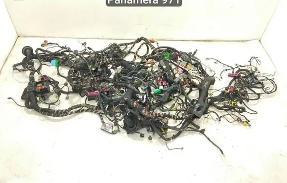 Porsche Panamera (971) Other wiring loom