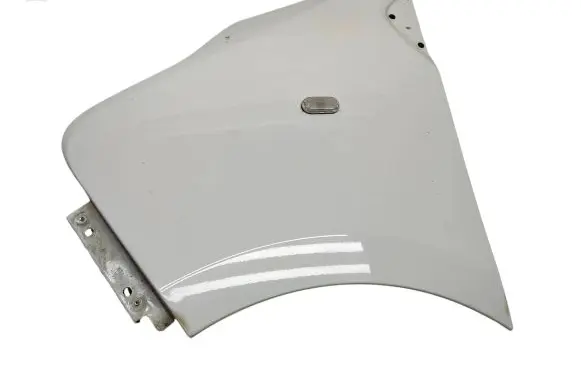 Renault Trafic III (X82) Fender