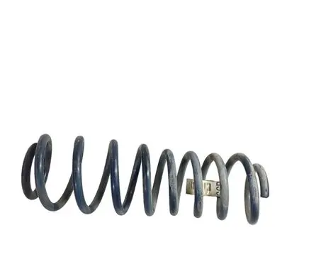 Ford Mustang V Rear coil spring BR335560CB