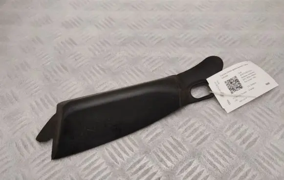 Rear/tail light trim molding