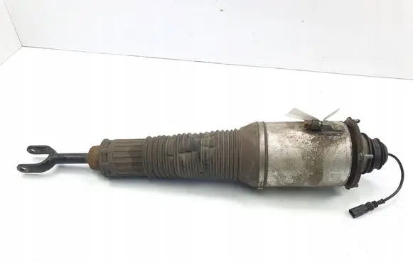 Audi A8 S8 D3 4E Rear shock absorber/damper 4E0616039AB