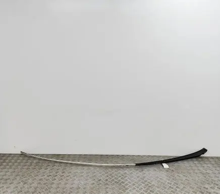 Roof trim bar molding cover