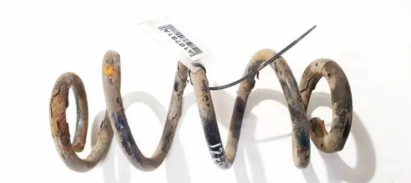 Rear coil spring