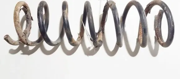 Ford Focus Rear coil spring