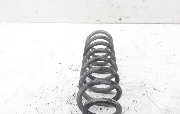 Renault Scenic II - Grand scenic II Rear coil spring