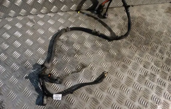 Porsche 997 Other wiring loom 972971111