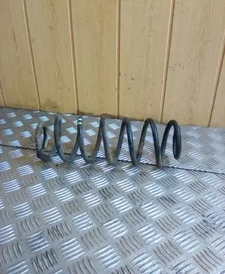 Volkswagen Golf V Rear coil spring