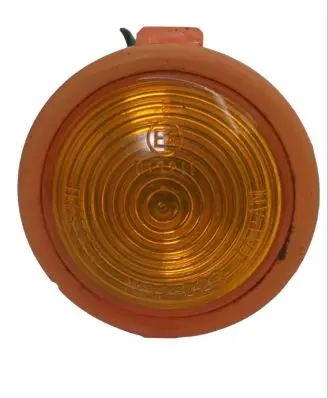 Front fender indicator light