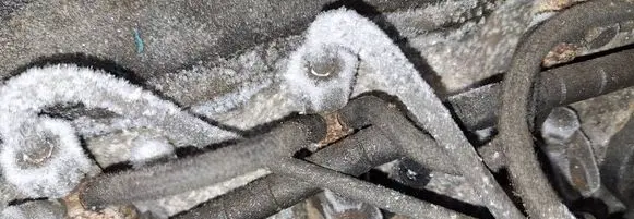 Seat Alhambra (Mk1) Fuel injector 
