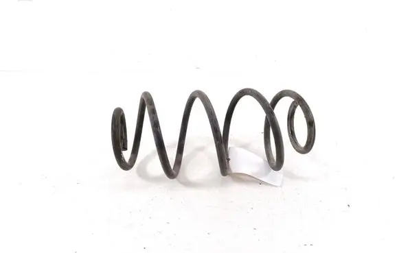 Rear coil spring