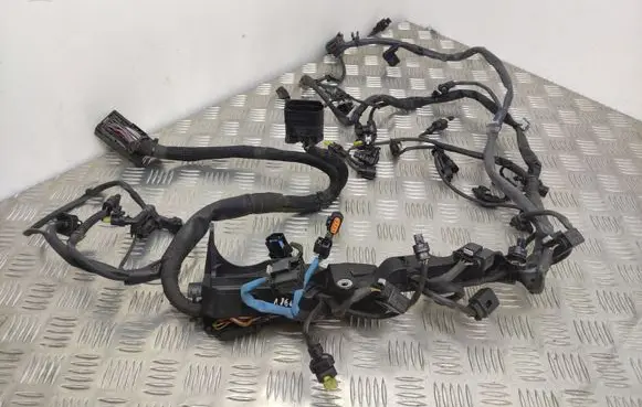 Engine installation wiring loom