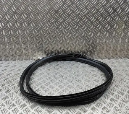 KIA Niro Rubber seal front coupe door 82110AT000