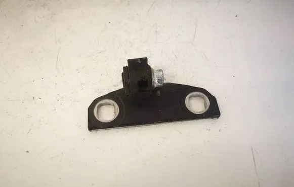Volvo XC60 Rear door lower hinge 