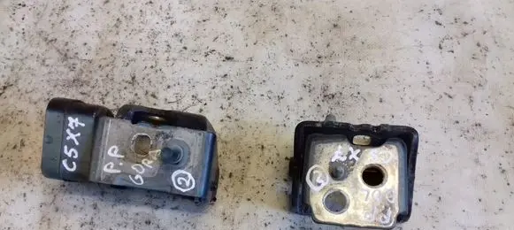Citroen C5 Front door hinge set 
