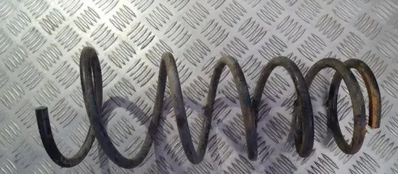 Rear coil spring