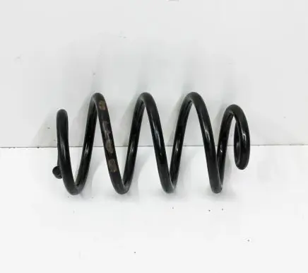 Nissan Leaf I (ZE0) Rear coil spring