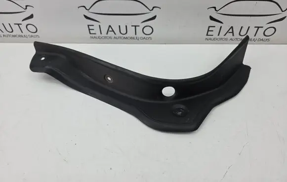 Rear/tail light trim molding