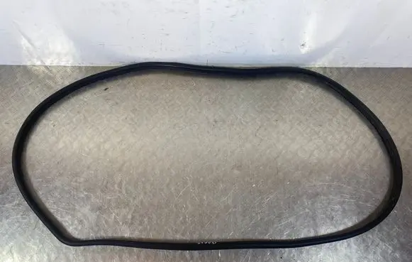 SsangYong Rexton Front door rubber seal 