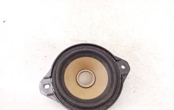 Tesla Model S Front door speaker 100483301A