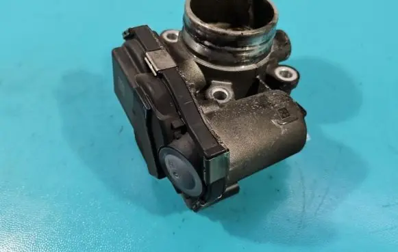 Throttle body valve