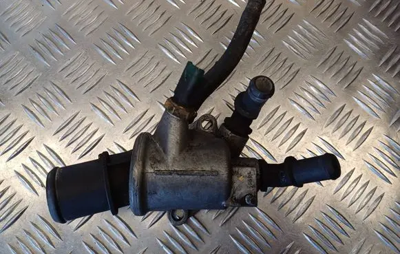 Thermostat/thermostat housing