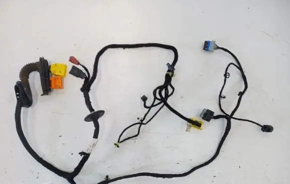 Front door wiring loom