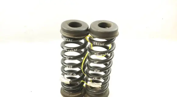 Rear coil spring
