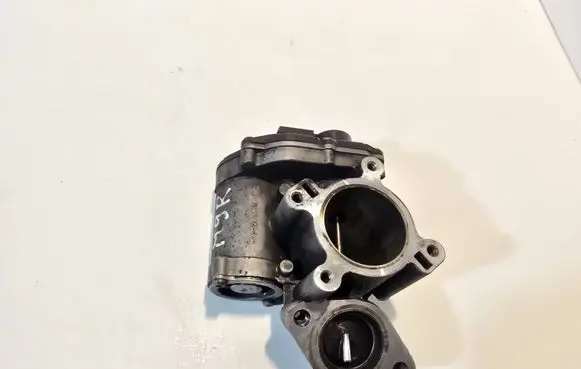 Renault Trafic II (X83) EGR valve 8200693739 H8200327011 CZ3446L