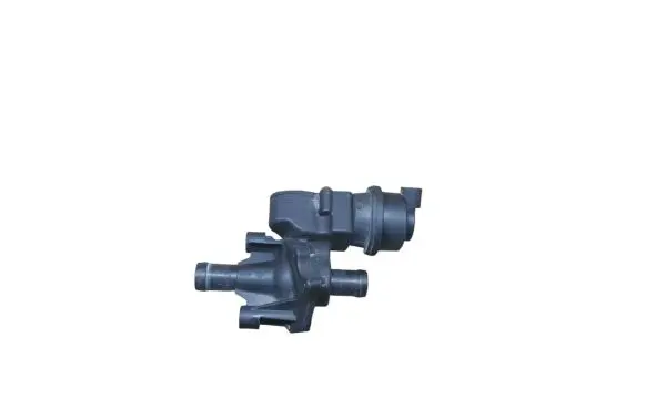 Thermostat/thermostat housing