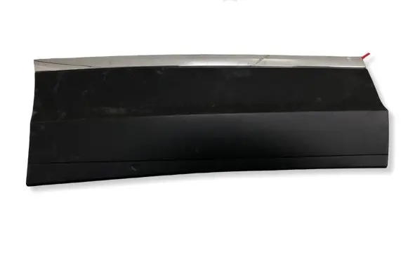 Volkswagen Tiguan Rear door trim (molding) 5NA854950PBILI 5NA854950P