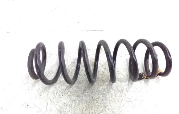 Dodge Caliber Rear coil spring 05105014AA 2559F014AA