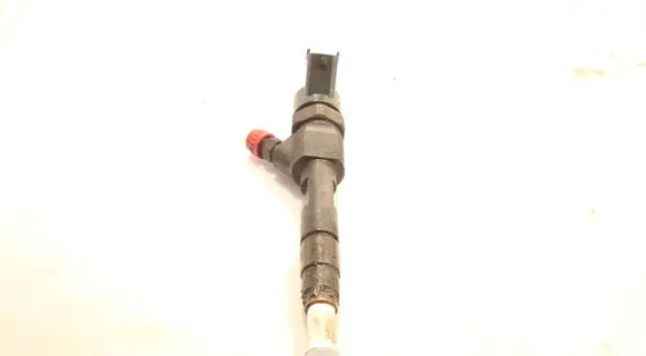 Renault Scenic I Fuel injector 044510021