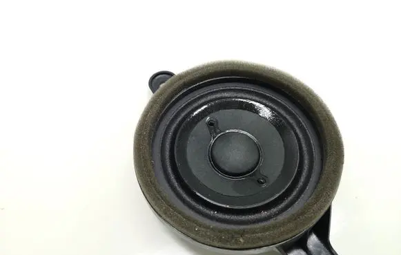 Front door high frequency speaker