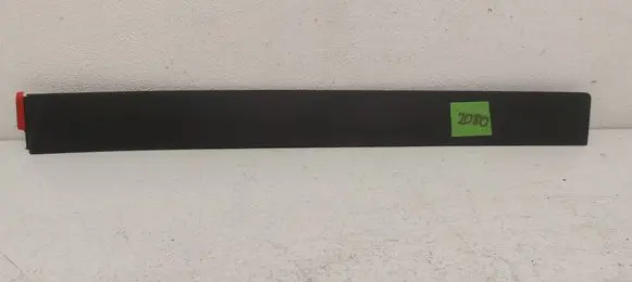 Rear door trim (molding)