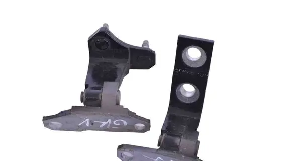 Rear door lower hinge