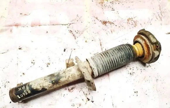 Volkswagen PASSAT B6 Front shock absorber/damper 3c0413031ae