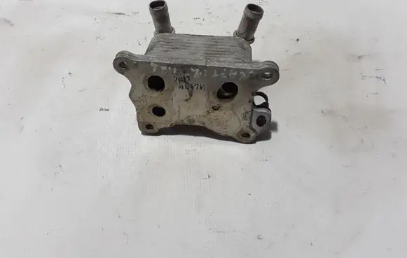 Renault Captur Oil filter mounting bracket 213052032R