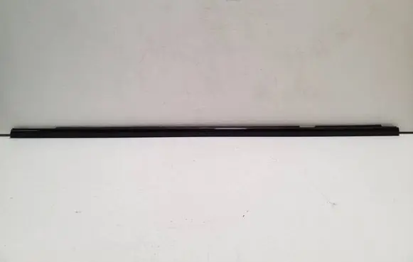 BMW X6 F16 Rear door glass trim molding 