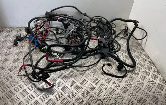 Engine installation wiring loom