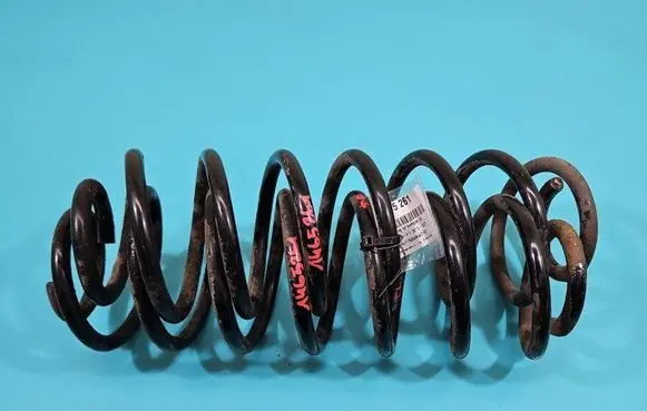 Rear coil spring