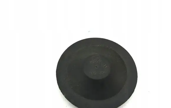 Renault Master III Headlight/headlamp dust cover 160184