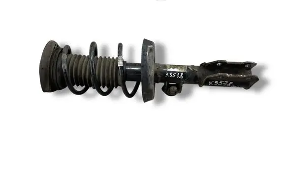 Opel Astra K Front shock absorber with coil spring 39131176 722559783 824903016803