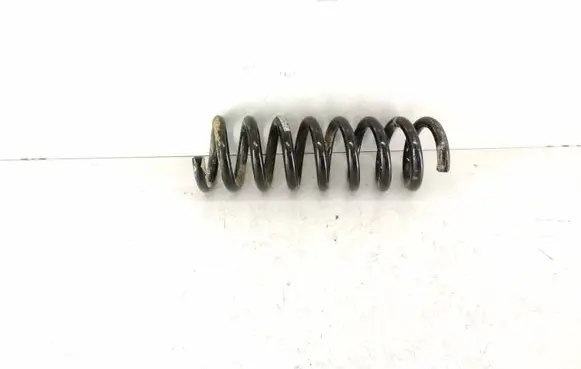 Rear coil spring