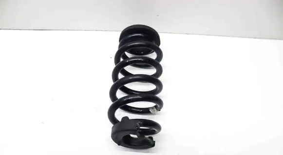 Cupra Born Rear coil spring 1EA511103Q