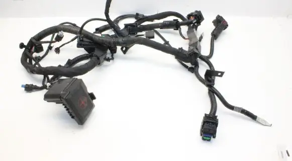 Hyundai Kona I Positive wiring loom 91660K4030