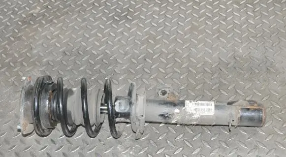 Mini Paceman (R61) Front shock absorber/damper 9813656